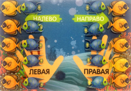 Игра развивающая «Лево-право»