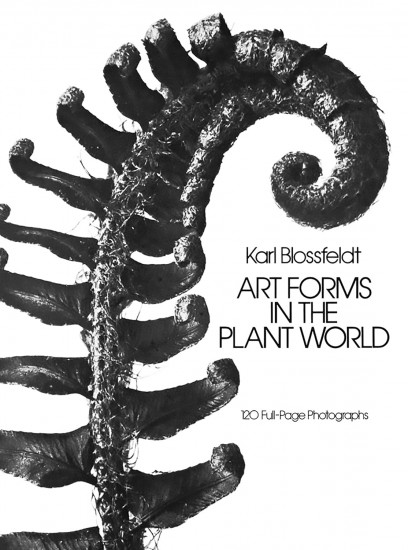 Art Forms in the Plant World. 120 Full-Page Photographs