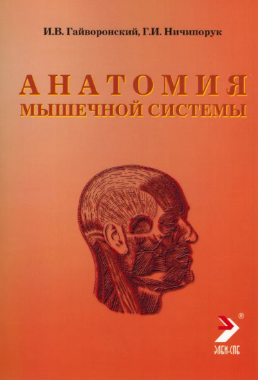 Анатомия мышечной системы (мышцы, фасции и топография)