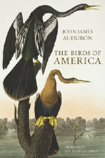 Birds of America