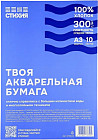 А3 (297 × 420 мм)