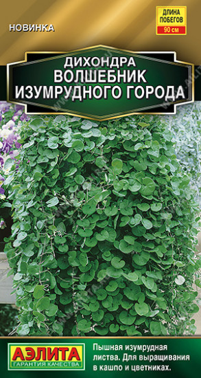 Дихондра «Волшебник Изумрудного города»