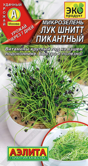Микрозелень лук шнитт «Пикантный»