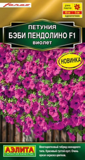 Петуния «Бэби Пендолино F1 Виолет»