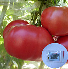 Коллекционные семена томата «Выставочный»
