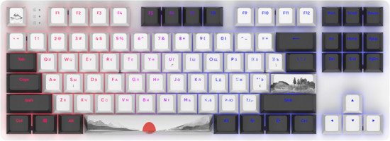 Клавиатура Dark Project One 87 Fuji