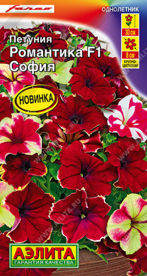 Петуния «Романтика София F1»