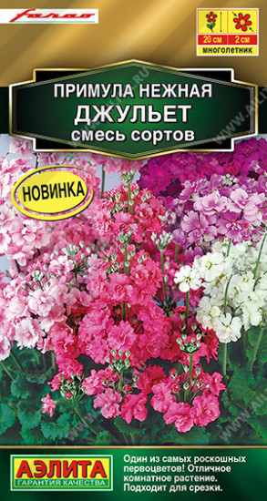 Примула «Джульет» махровая, смесь сортов (7 шт.)