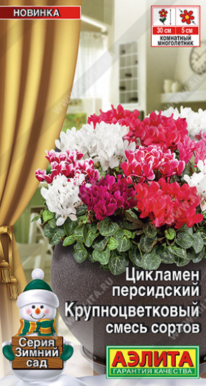 Цикламен смесь сортов «Крупноцветковый»