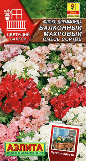 Флокс Друммонда смесь сортов «Балконный махровый»