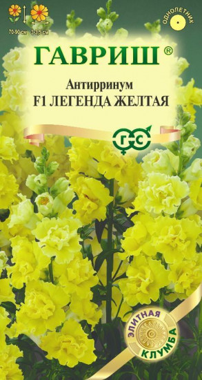 Антирринум «Легенда жёлтая F1»