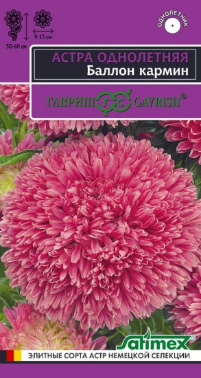 Астра «Баллон кармин»