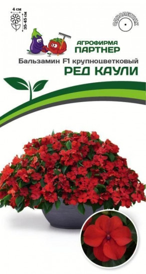 Бальзамин Уоллера F1 крупноцветковый «Ред Каули»