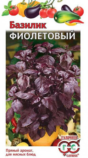 Базилик «Фиолетовый»
