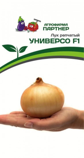 Лук репчатый «Универсо F1»