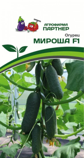 Огурец «Мироша F1»