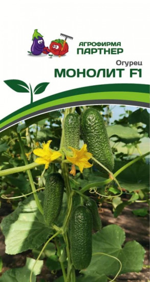 Огурец «Монолит F1»