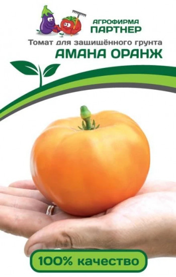 Томат «Амана Оранж»