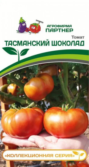 Томат «Тасманский шоколад»