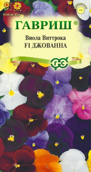 Виола Виттрока «Джованна F1»