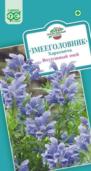 Змееголовник «Харкевича. Воздушный змей»