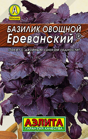 Базилик овощной «Ереванский»