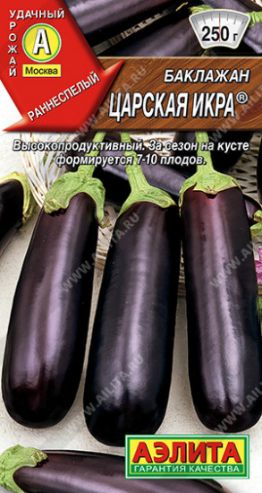 Баклажан «Царская икра»