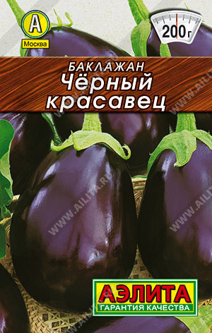 Баклажан «Черный красавец»