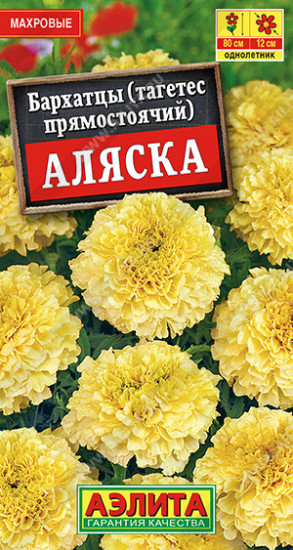 Бархатцы прямостоячие «Аляска»