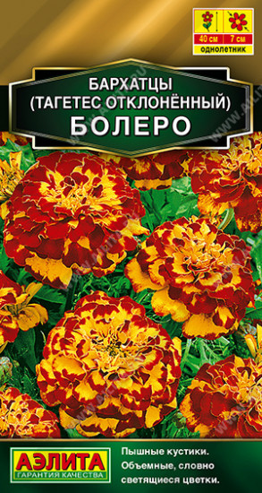 Бархатцы отклоненные «Болеро»