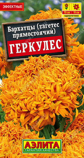 Бархатцы прямостоячие «Геркулес»