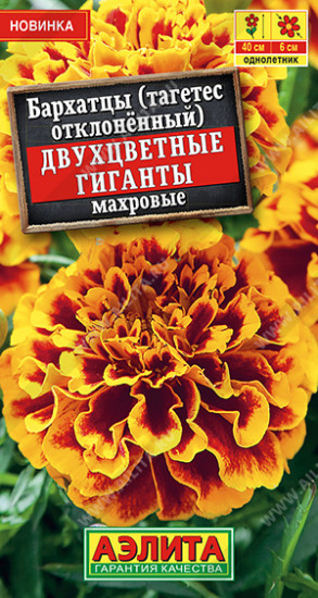 Бархатцы отклоненные махровые «Двухцветные гиганты»