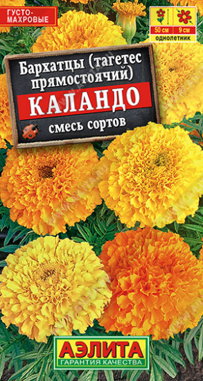 Бархатцы прямостоячие, смесь сортов «Каландо»