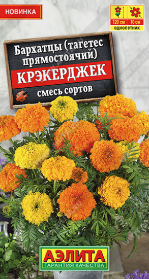 Бархатцы прямостоячие, смесь сортов «Крэкерджек»