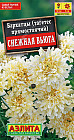 Бархатцы «Снежная вьюга»