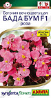Бегония роза «Бада бум F1»