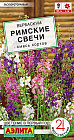 Вербаскум, смесь сортов «Римские свечи»