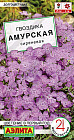 Гвоздика «Амурская сиреневая»