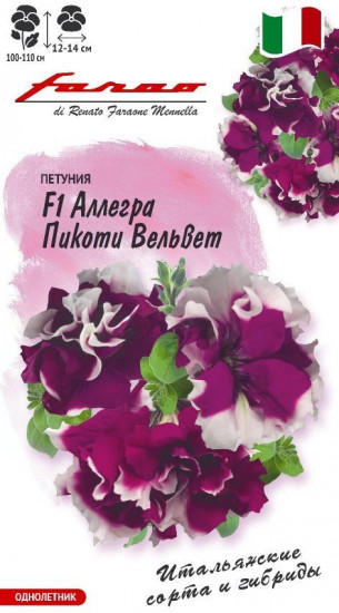 Петуния «Аллегра Пикоти вельвет F1»