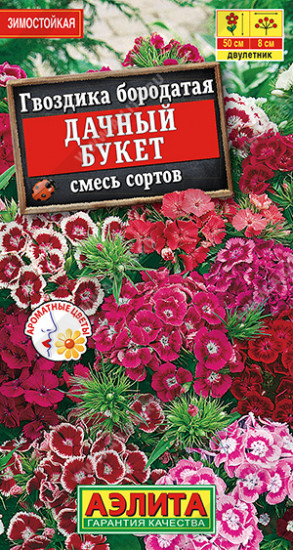 Гвоздика, смесь сортов «Дачный букет»
