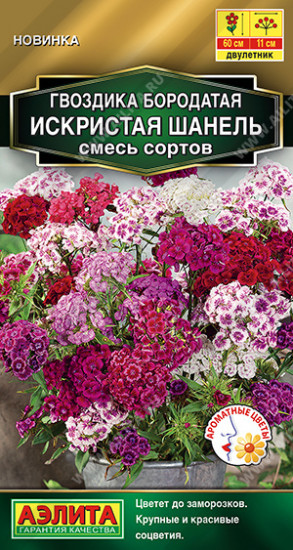 Гвоздика, смесь сортов «Искристая Шанель»
