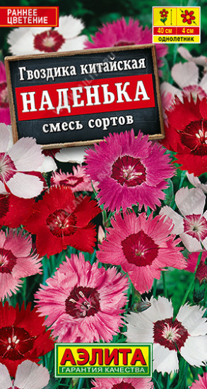Гвоздика китайская, смесь сортов «Наденька»
