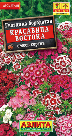 Гвоздика, смесь сортов «Красавица востока»