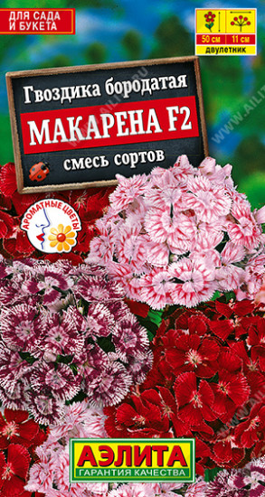 Гвоздика, смесь сортов «Макарена F2»