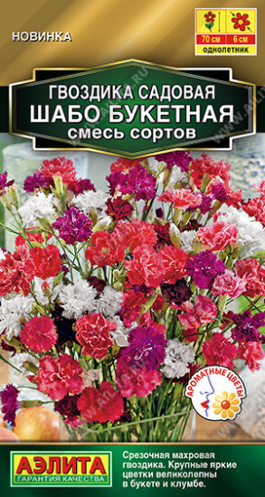 Гвоздика садовая махровая, смесь сортов «Шабо букетная»