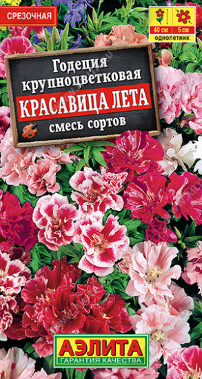Годеция крупноцветковая, смесь сортов «Красавица лета»