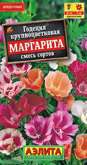 Годеция, смесь сортов «Маргарита»