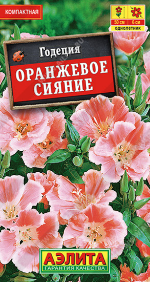 Годеция махровая «Оранжевое сияние»