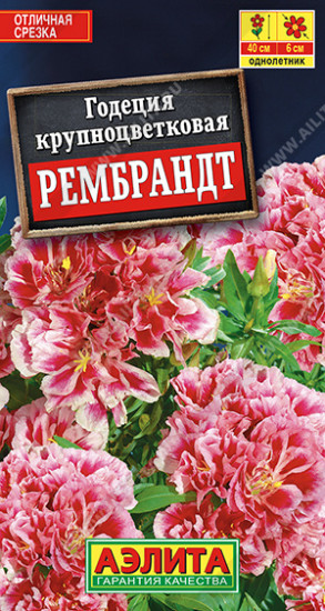 Годеция махровая «Рембрандт»