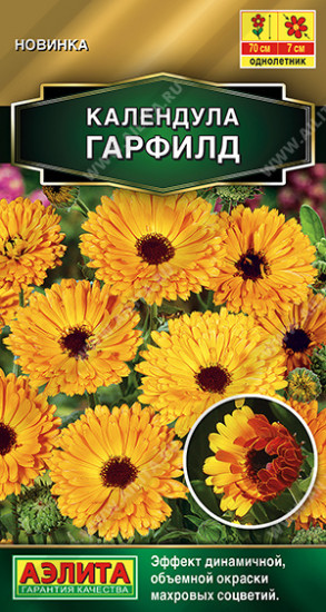 Календула махровая «Гарфилд»